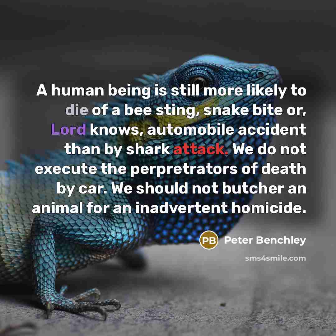 “A human being is still more likely to die of a bee sting, snake bite or, Lord knows, automobile accident than by shark attack. We do not execute the perpretrators of death by car. We should not butcher an animal for an inadvertent homicide.” quote by Peter Benchley