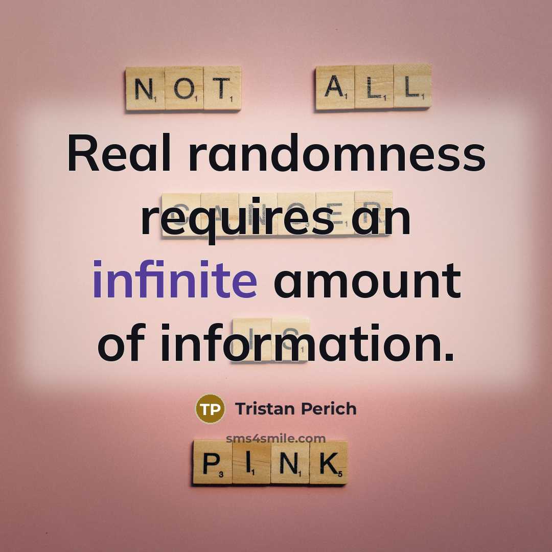 “Real randomness requires an infinite amount of information.” quote by Tristan Perich