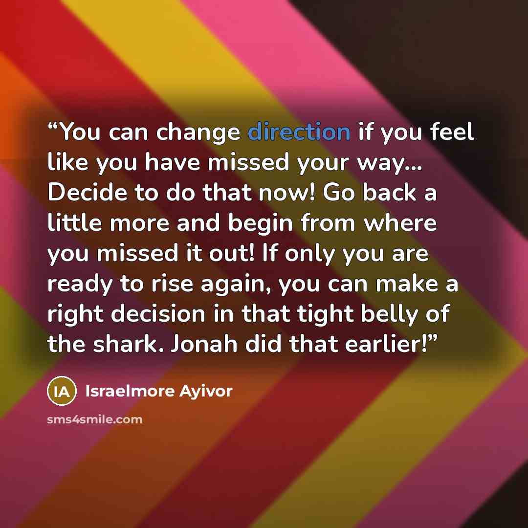 “You can change direction if you feel like you have missed your way... Decide to do that now! Go back a little more and begin from where you missed it out! If only you are ready to rise again, you can make a right decision in that tight belly of the shark. Jonah did that earlier!” quote by Israelmore Ayivor