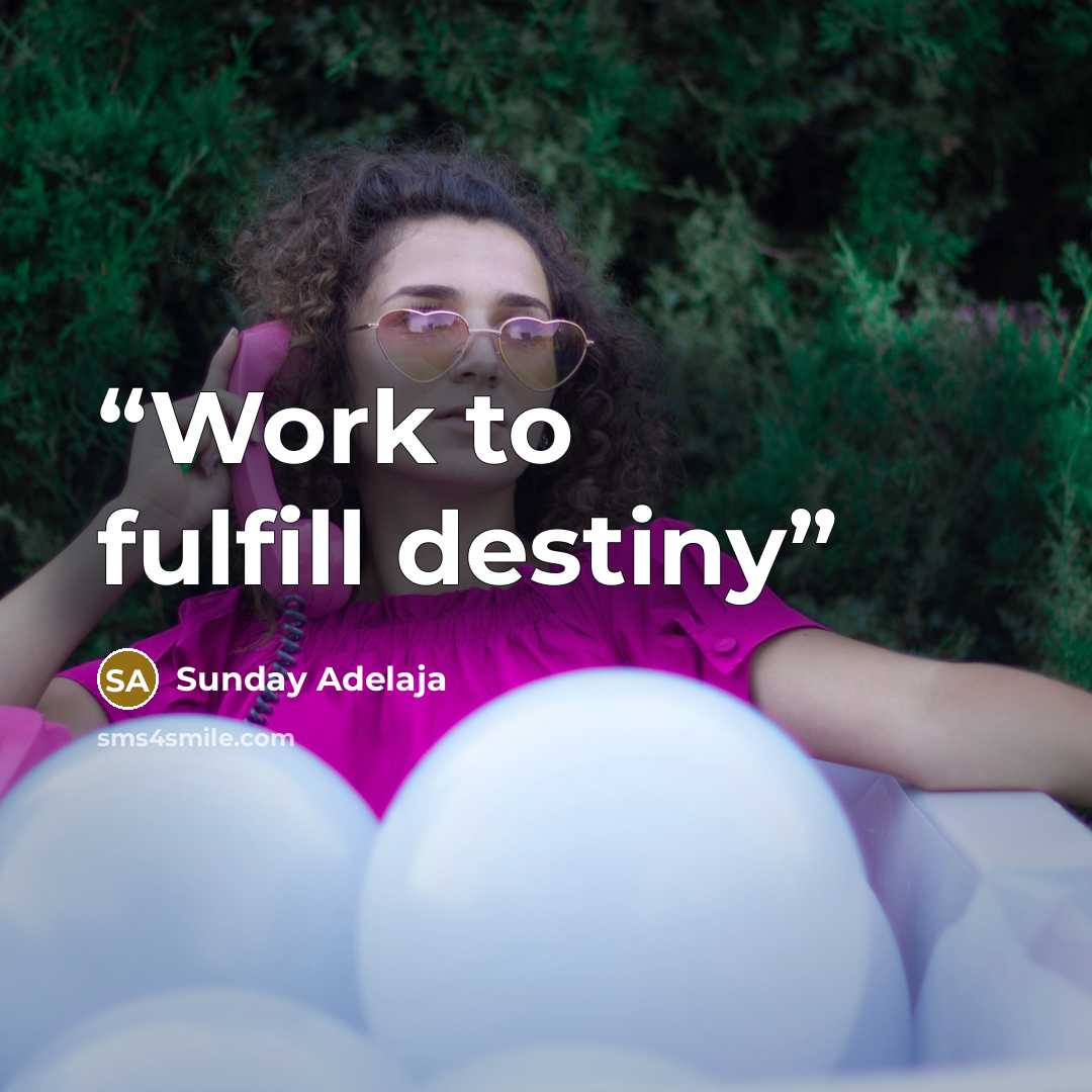 “Work to fulfill destiny” quote by Sunday Adelaja