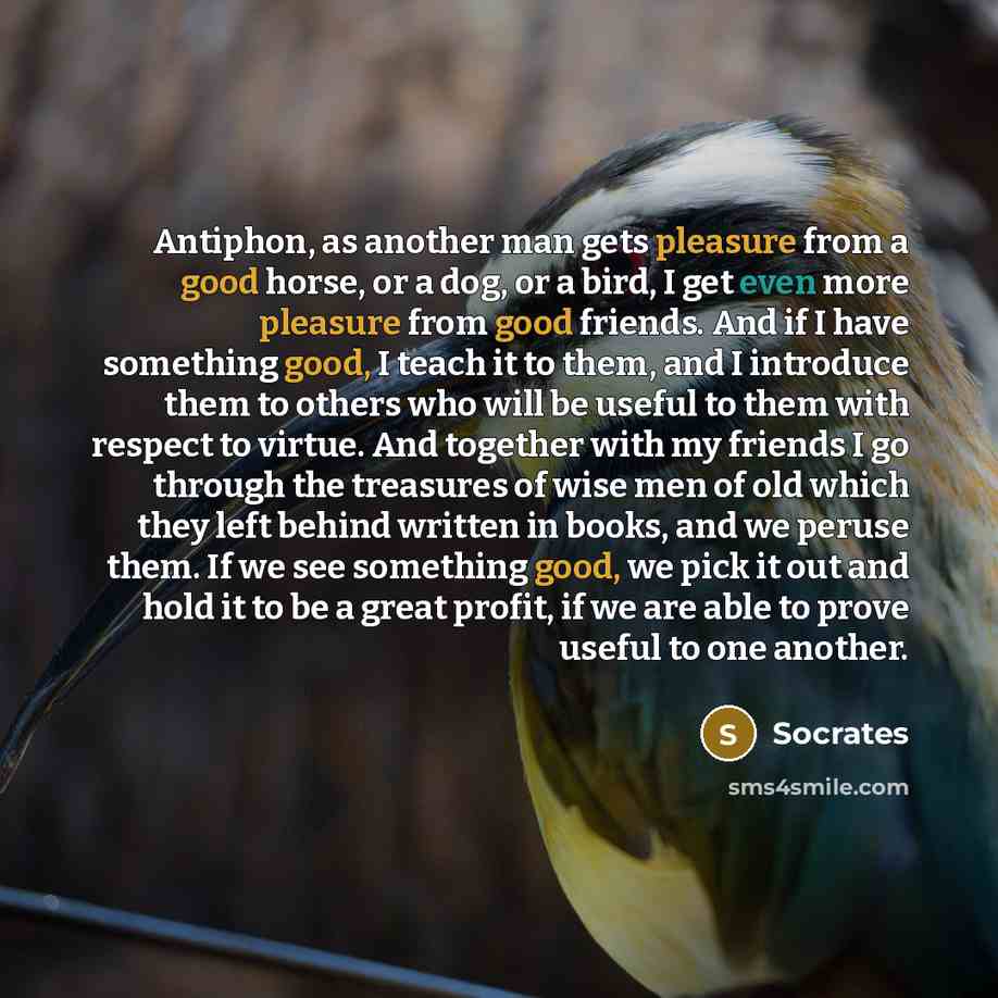 “Antiphon, as another man gets pleasure from a good horse, or a dog, or a bird, I get even more pleasure from good friends. And if I have something good, I teach it to them, and I introduce them to others who will be useful to them with respect to virtue. And together with my friends I go through…” quote by Socrates