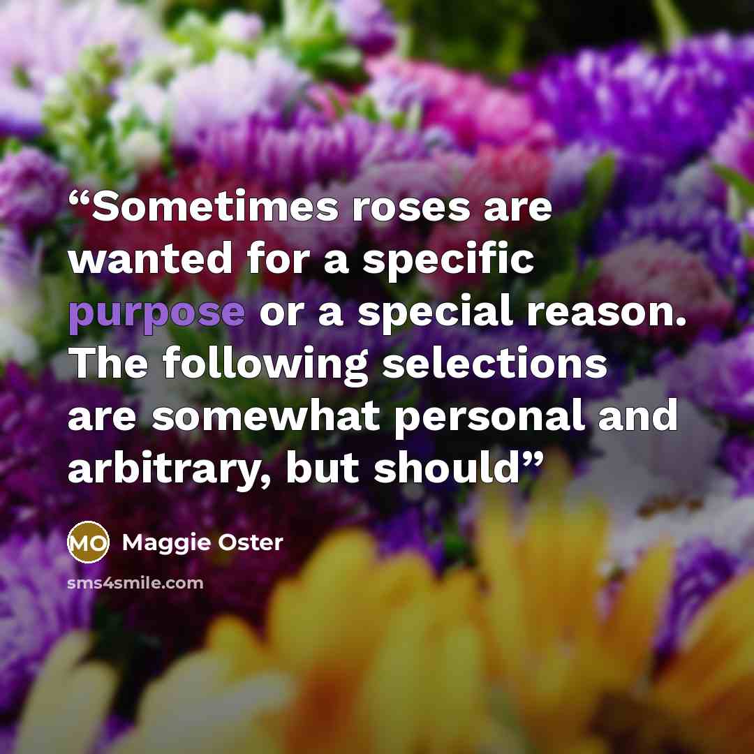 “Sometimes roses are wanted for a specific purpose or a special reason. The following selections are somewhat personal and arbitrary, but should” quote by Maggie Oster