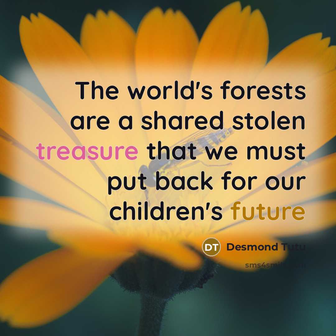“The world's forests are a shared stolen treasure that we must put back for our children's future” quote by Desmond Tutu
