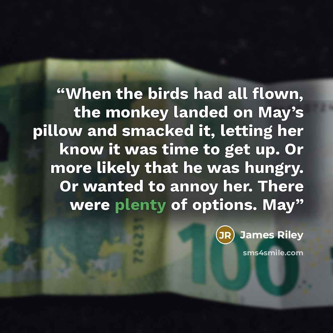 “When the birds had all flown, the monkey landed on May’s pillow and smacked it, letting her know it was time to get up. Or more likely that he was hungry. Or wanted to annoy her. There were plenty of options. May” quote by James Riley