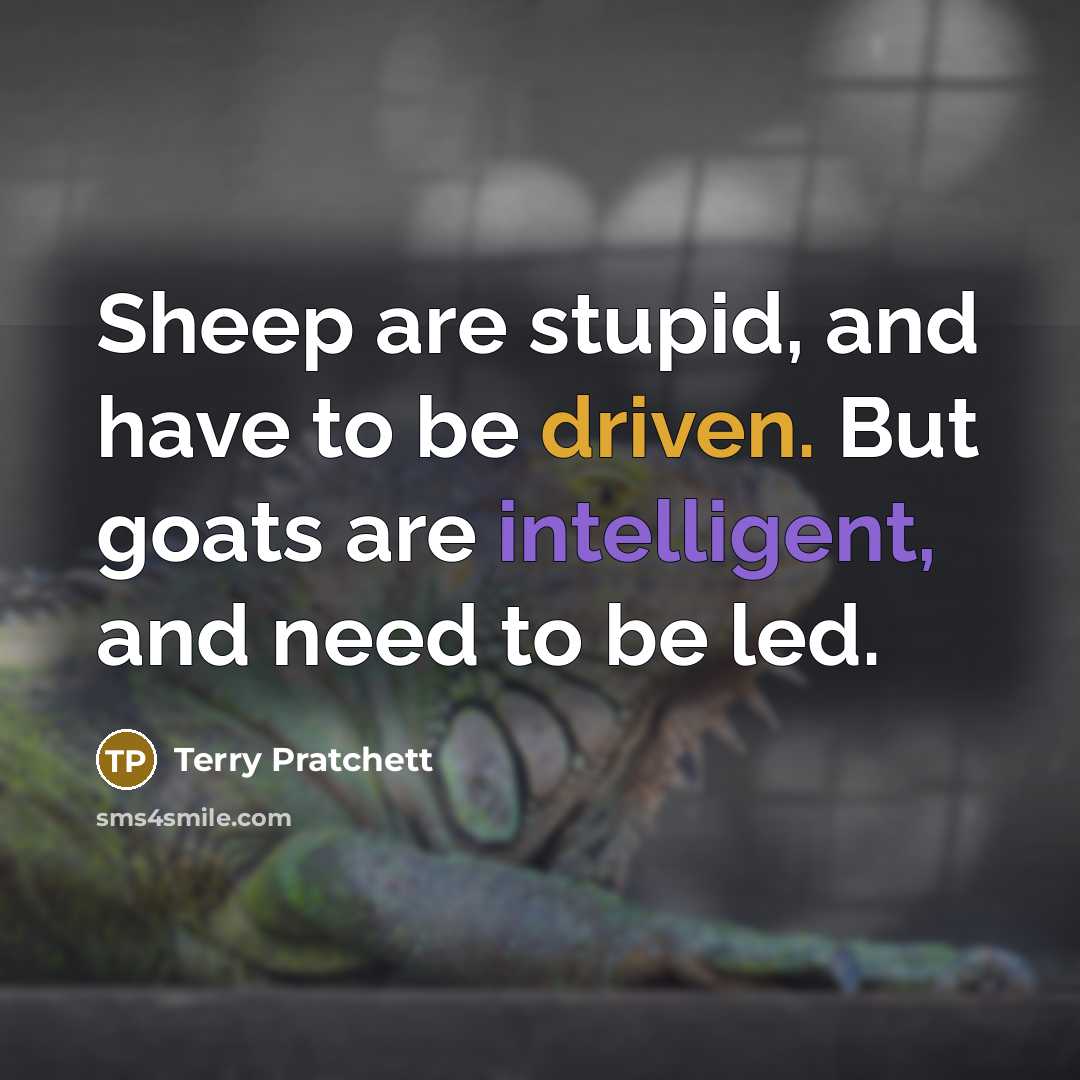 “Sheep are stupid, and have to be driven. But goats are intelligent, and need to be led.” quote by Terry Pratchett