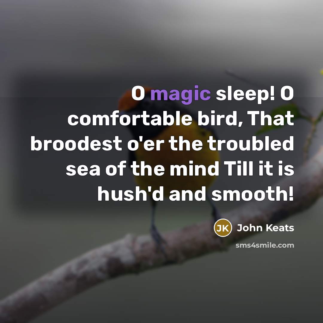 “O magic sleep! O comfortable bird, That broodest o'er the troubled sea of the mind Till it is hush'd and smooth!” quote by John Keats