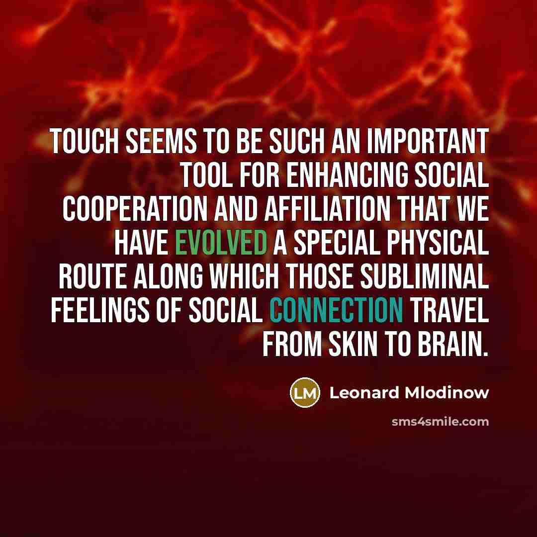 “Touch seems to be such an important tool for enhancing social cooperation and affiliation that we have evolved a special physical route along which those subliminal feelings of social connection travel from skin to brain.” quote by Leonard Mlodinow