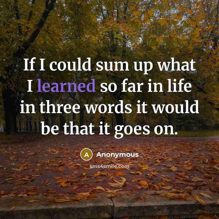 “If I could sum up what I learned so far in life in three words it would be that it goes on.” quote by Anonymous