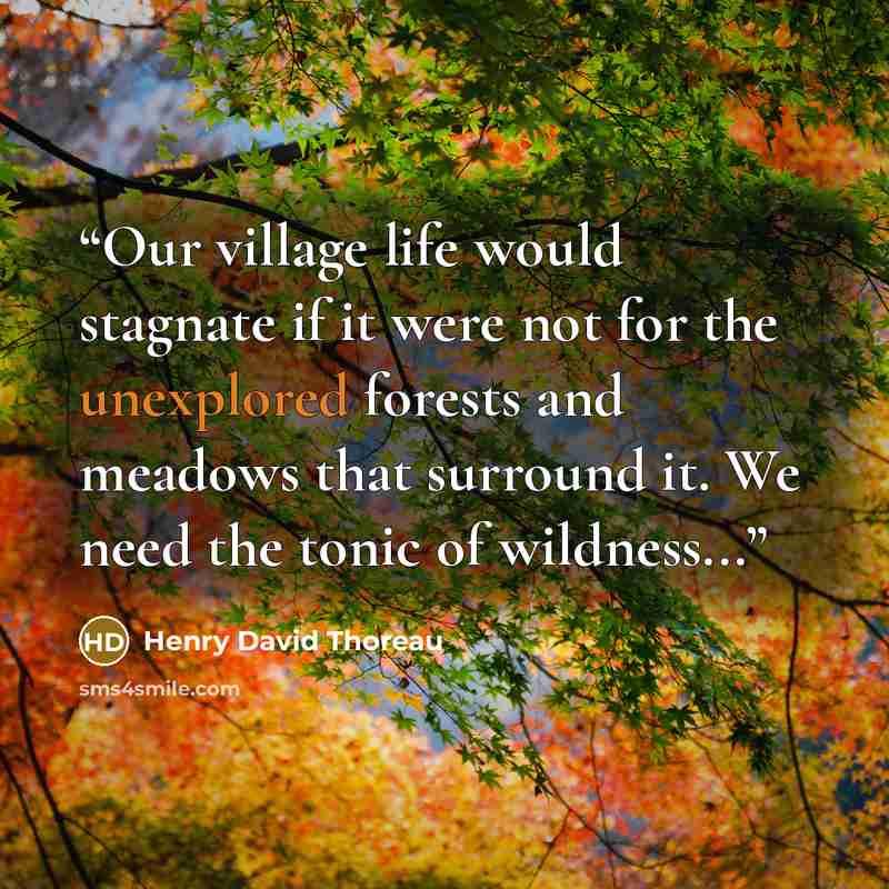 “Our village life would stagnate if it were not for the unexplored forests and meadows that surround it. We need the tonic of wildness...” quote by Henry David Thoreau