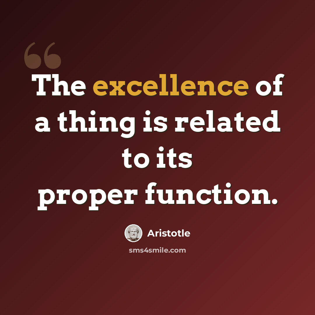 “The excellence of a thing is related to its proper function.” quote by Aristotle