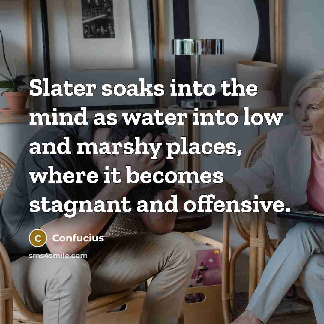 “Slater soaks into the mind as water into low and marshy places, where it becomes stagnant and offensive.” quote by Confucius