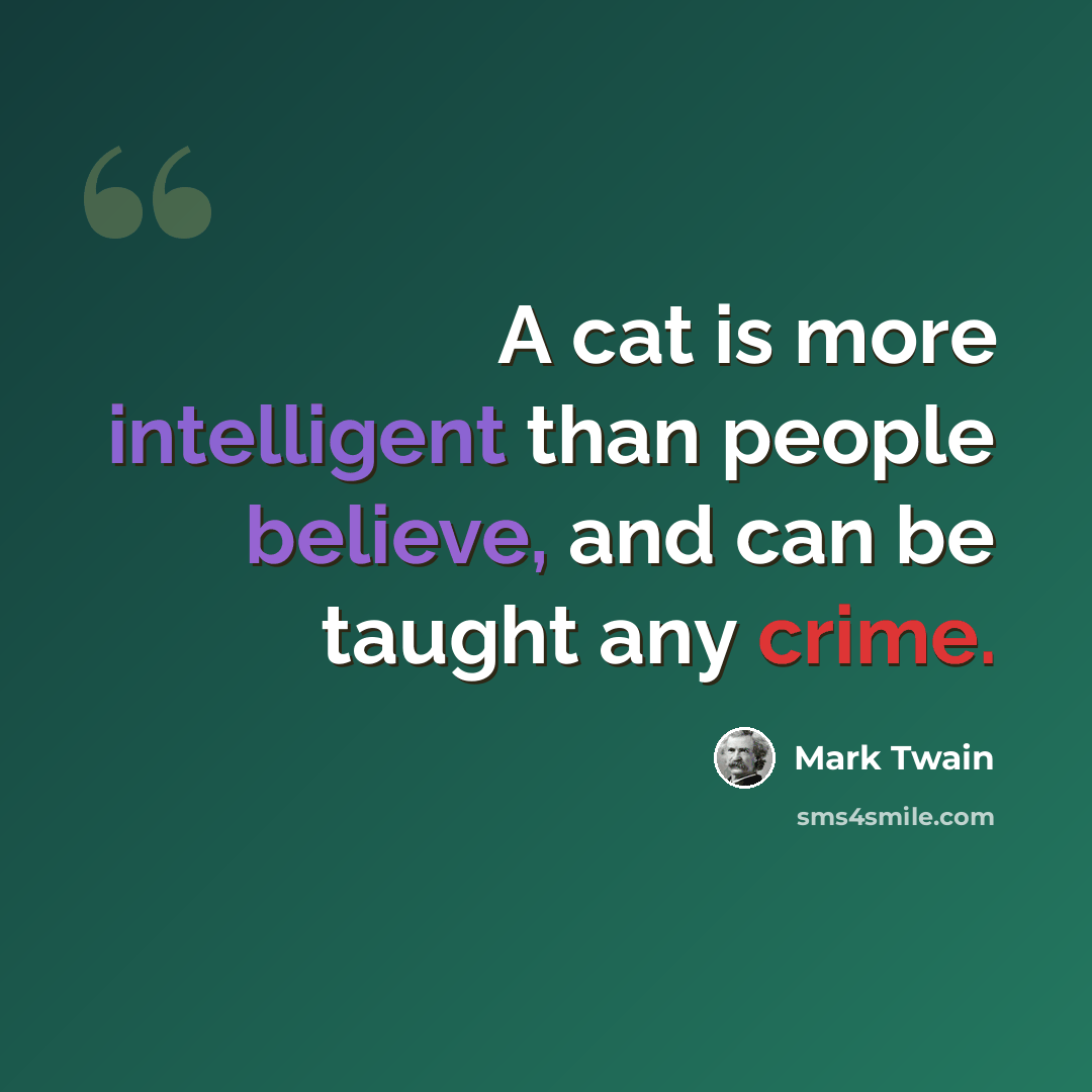 “A cat is more intelligent than people believe, and can be taught any crime.” quote by Mark Twain
