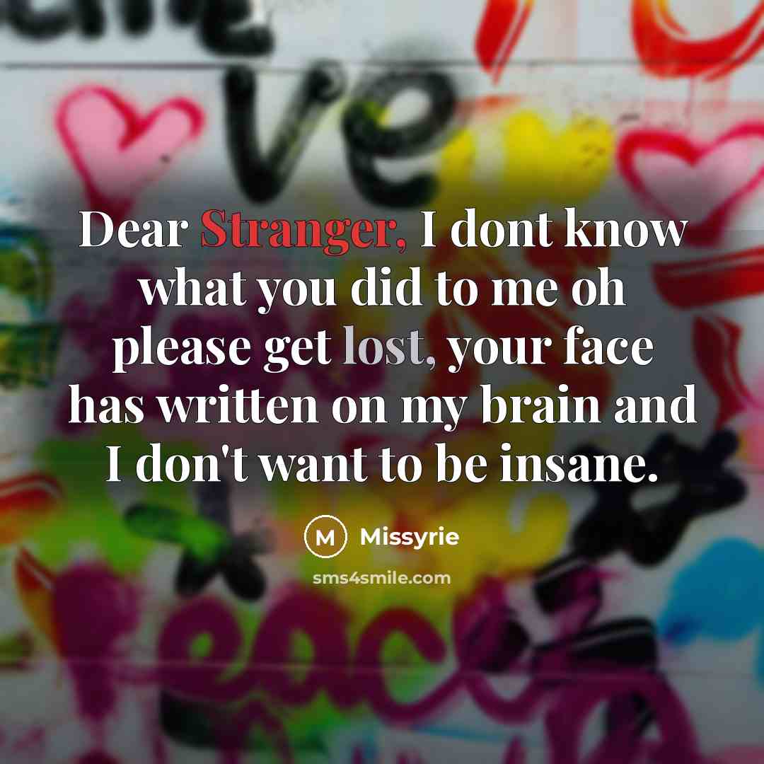 “Dear Stranger, I dont know what you did to me oh please get lost, your face has written on my brain and I don't want to be insane.” quote by Missyrie