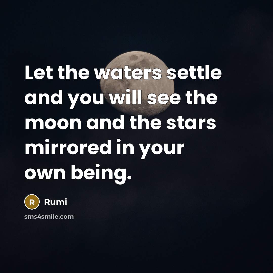 “Let the waters settle and you will see the moon and the stars mirrored in your own being.” quote by Rumi