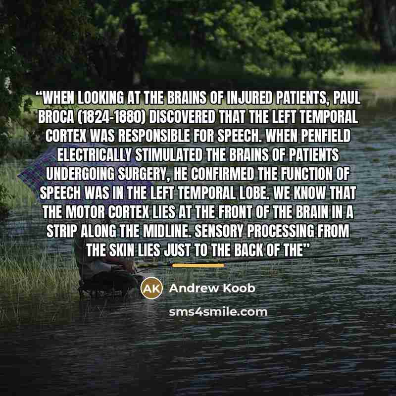 “When looking at the brains of injured patients, Paul Broca (1824–1880) discovered that the left temporal cortex was responsible for speech. When Penfield electrically stimulated the brains of patients undergoing surgery, he confirmed the function of speech was in the left temporal lobe. We know…” quote by Andrew Koob