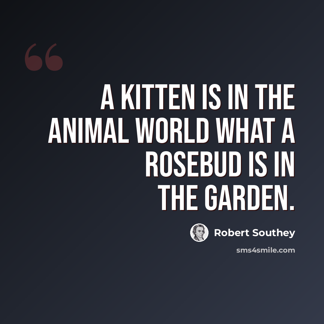 “A kitten is in the animal world what a rosebud is in the garden.” quote by Robert Southey