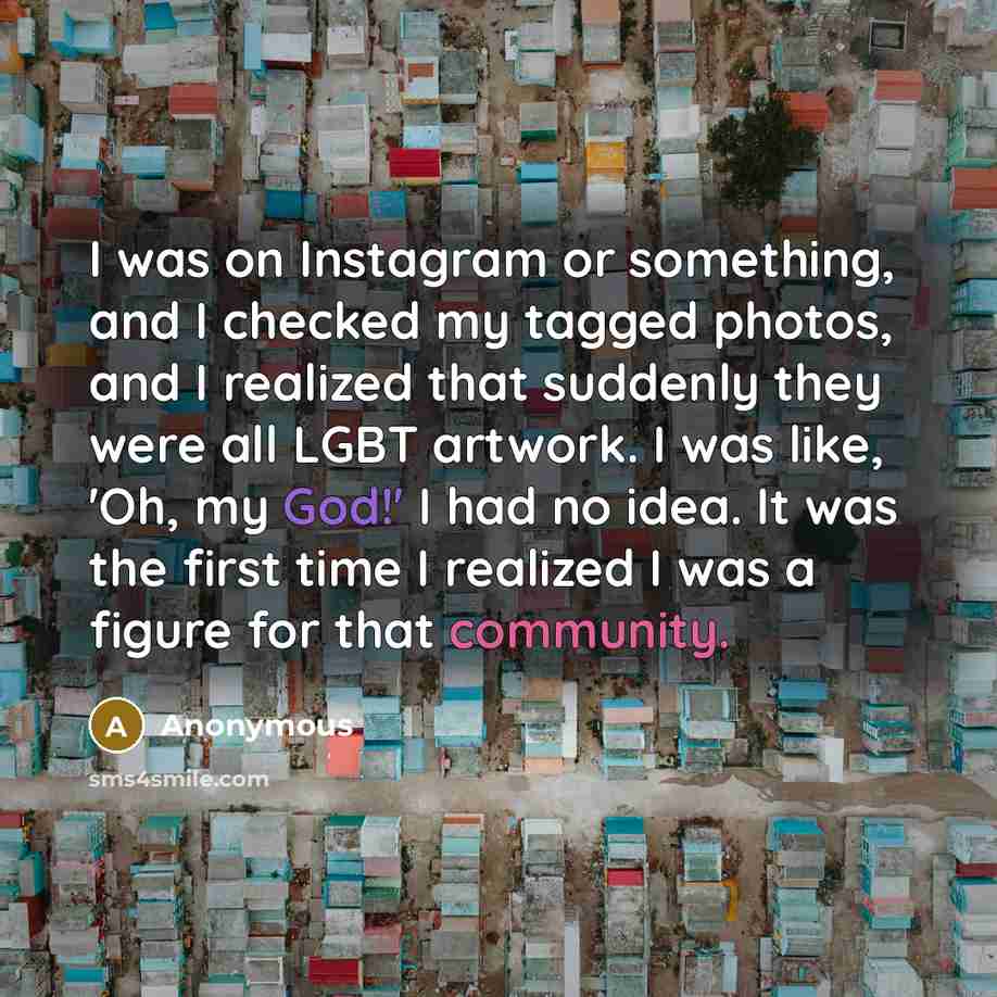 “I was on Instagram or something, and I checked my tagged photos, and I realized that suddenly they were all LGBT artwork. I was like, 'Oh, my God!' I had no idea. It was the first time I realized I was a figure for that community.” quote by Anonymous