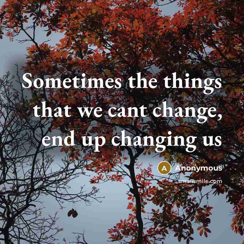 “Sometimes the things that we cant change, end up changing us” quote by Anonymous