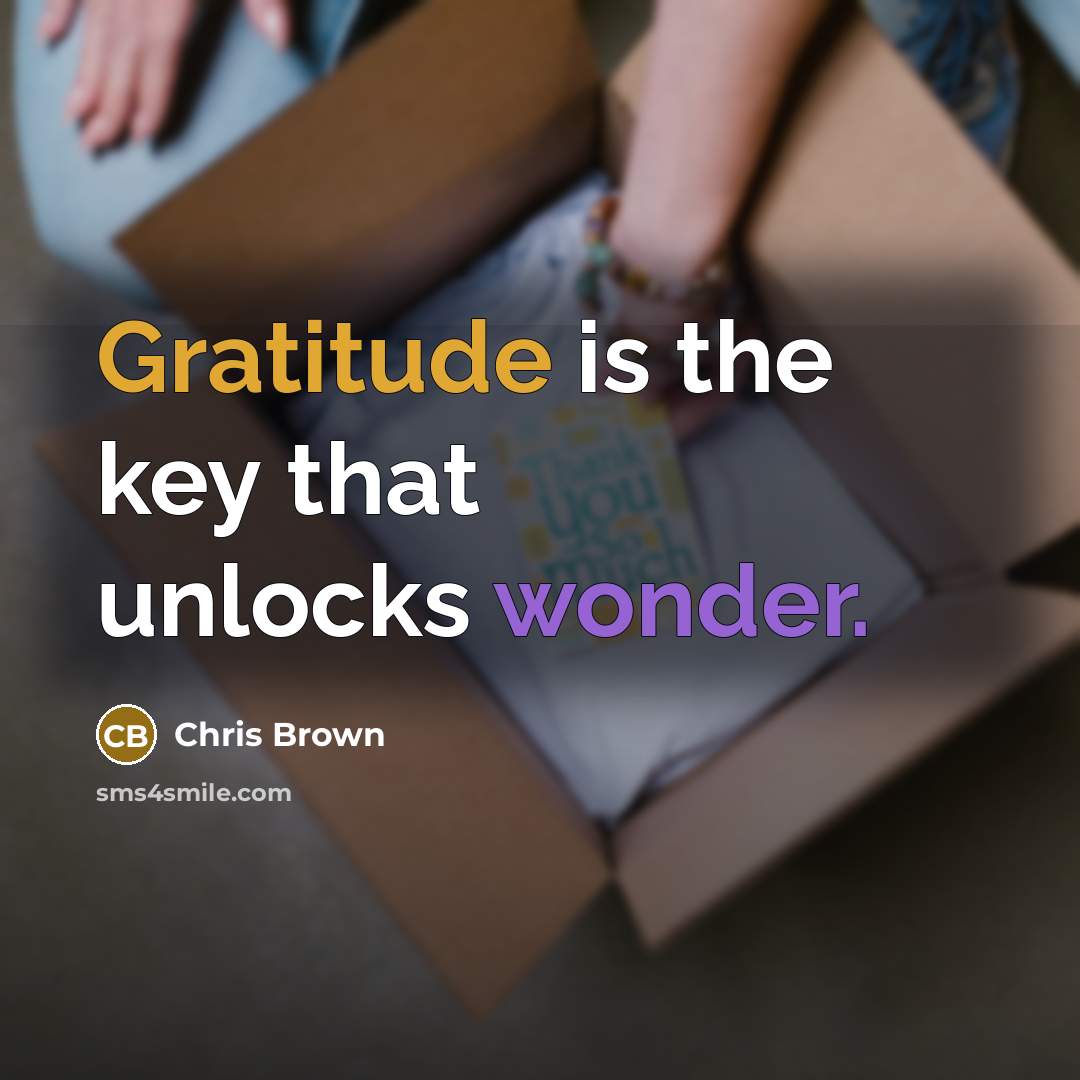 “Gratitude is the key that unlocks wonder.” quote by Chris Brown
