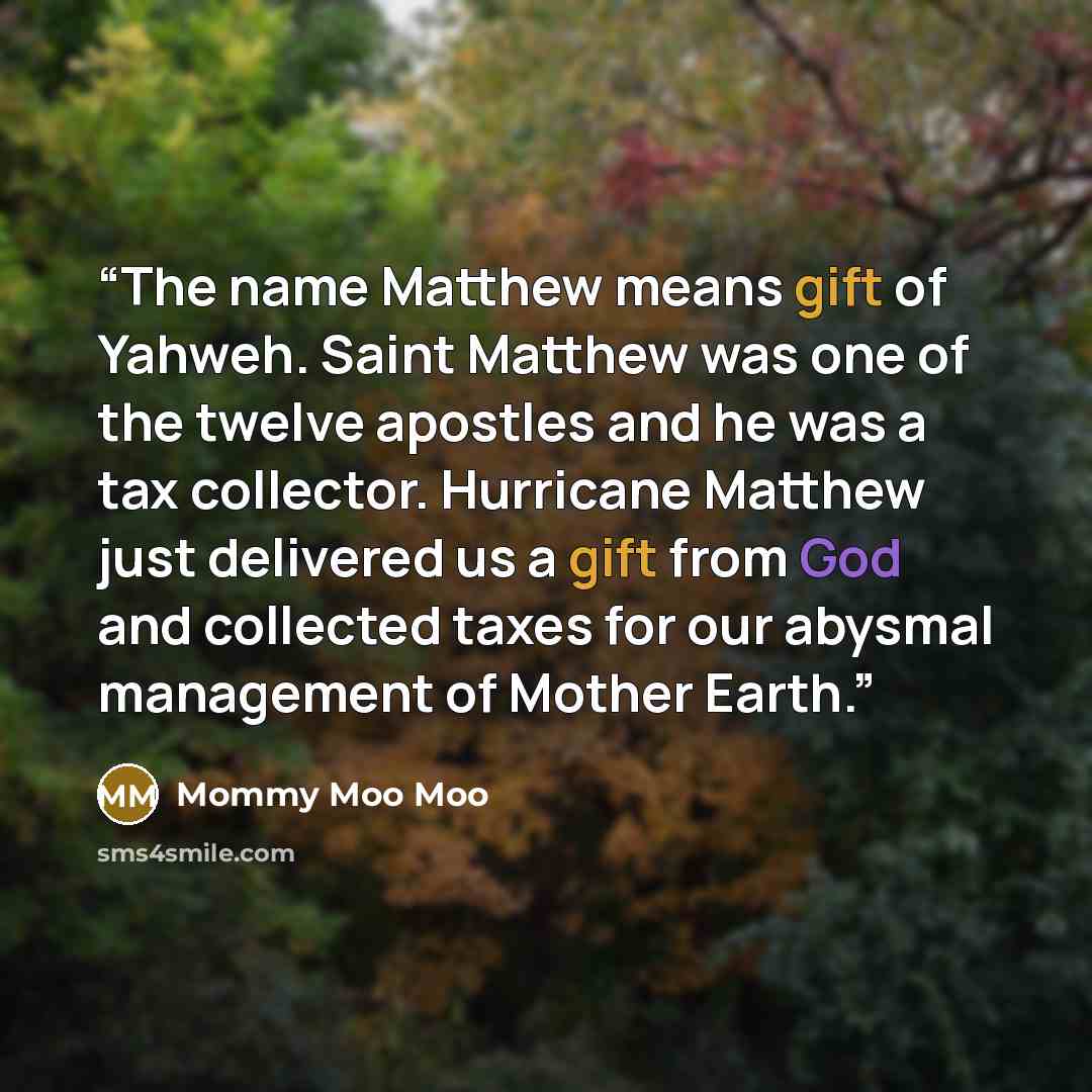 “The name Matthew means gift of Yahweh. Saint Matthew was one of the twelve apostles and he was a tax collector. Hurricane Matthew just delivered us a gift from God and collected taxes for our abysmal management of Mother Earth.” quote by Mommy Moo Moo