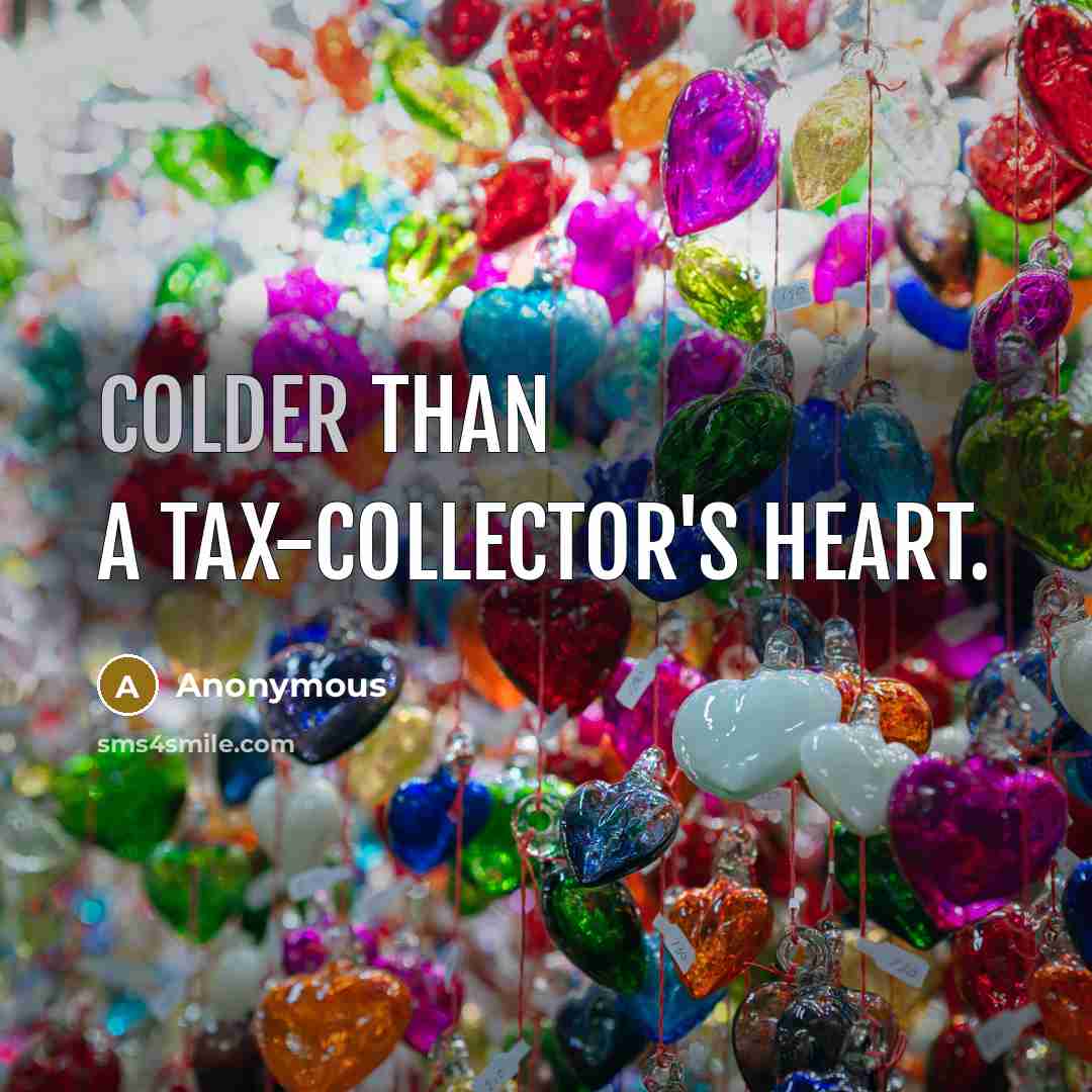 “Colder than a tax-collector's heart.” quote by Anonymous