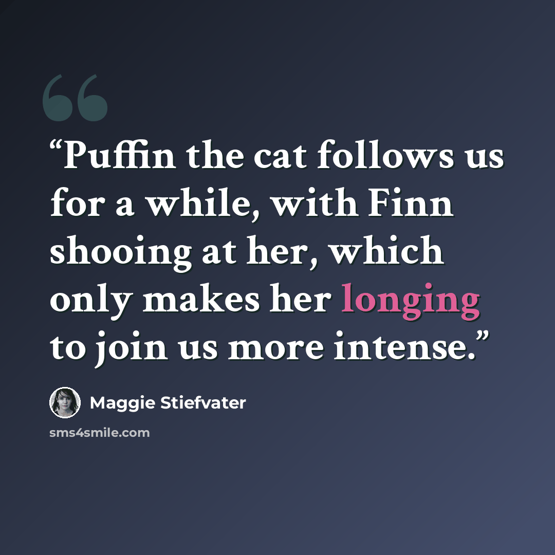 “Puffin the cat follows us for a while, with Finn shooing at her, which only makes her longing to join us more intense.” quote by Maggie Stiefvater