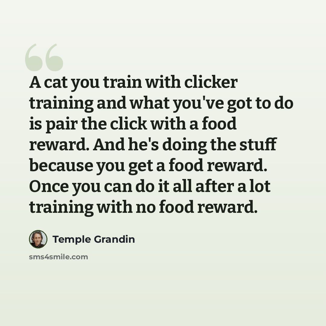 “A cat you train with clicker training and what you've got to do is pair the click with a food reward. And he's doing the stuff because you get a food reward. Once you can do it all after a lot training with no food reward.” quote by Temple Grandin