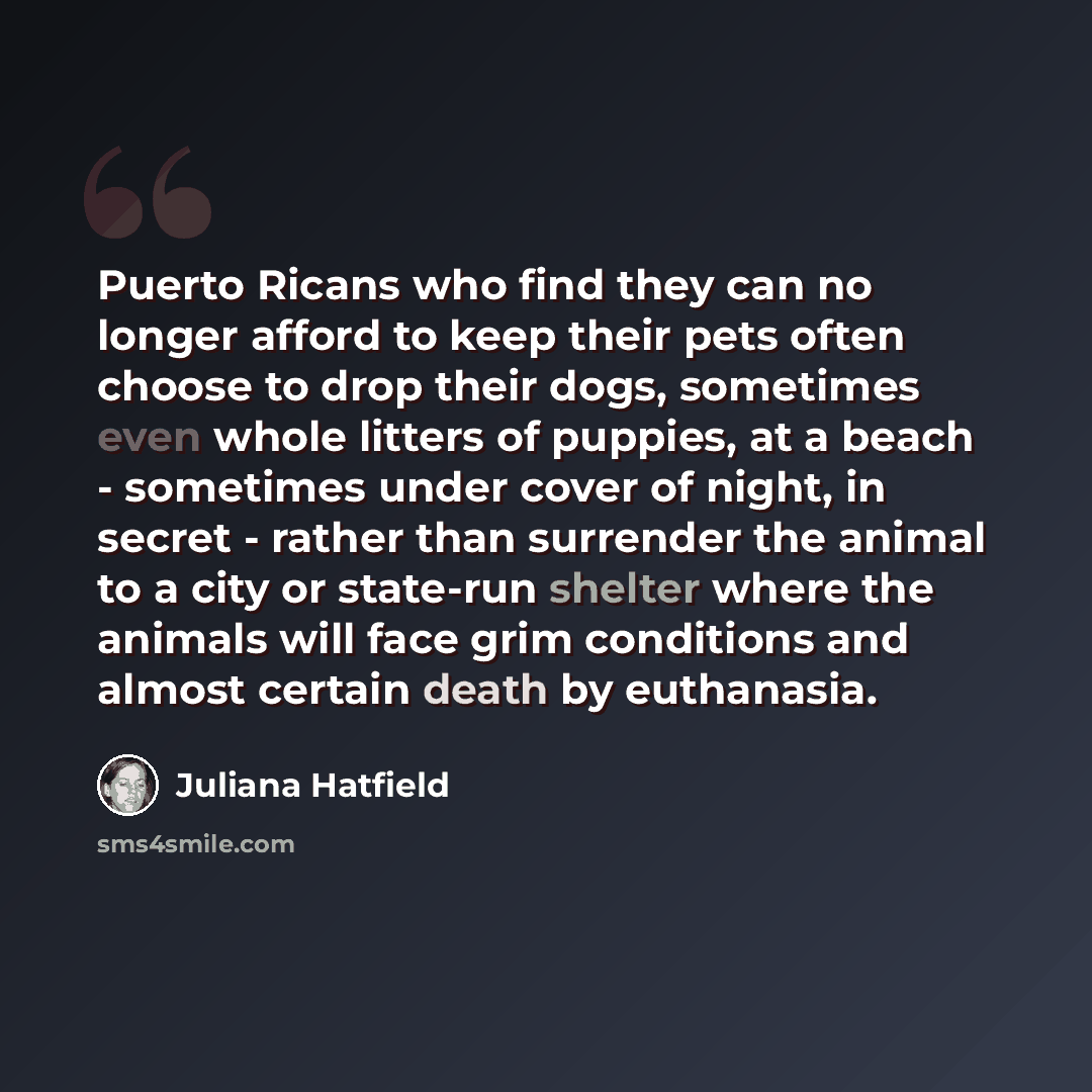 “Puerto Ricans who find they can no longer afford to keep their pets often choose to drop their dogs, sometimes even whole litters of puppies, at a beach - sometimes under cover of night, in secret - rather than surrender the animal to a city or state-run shelter where the animals will face grim…” quote by Juliana Hatfield