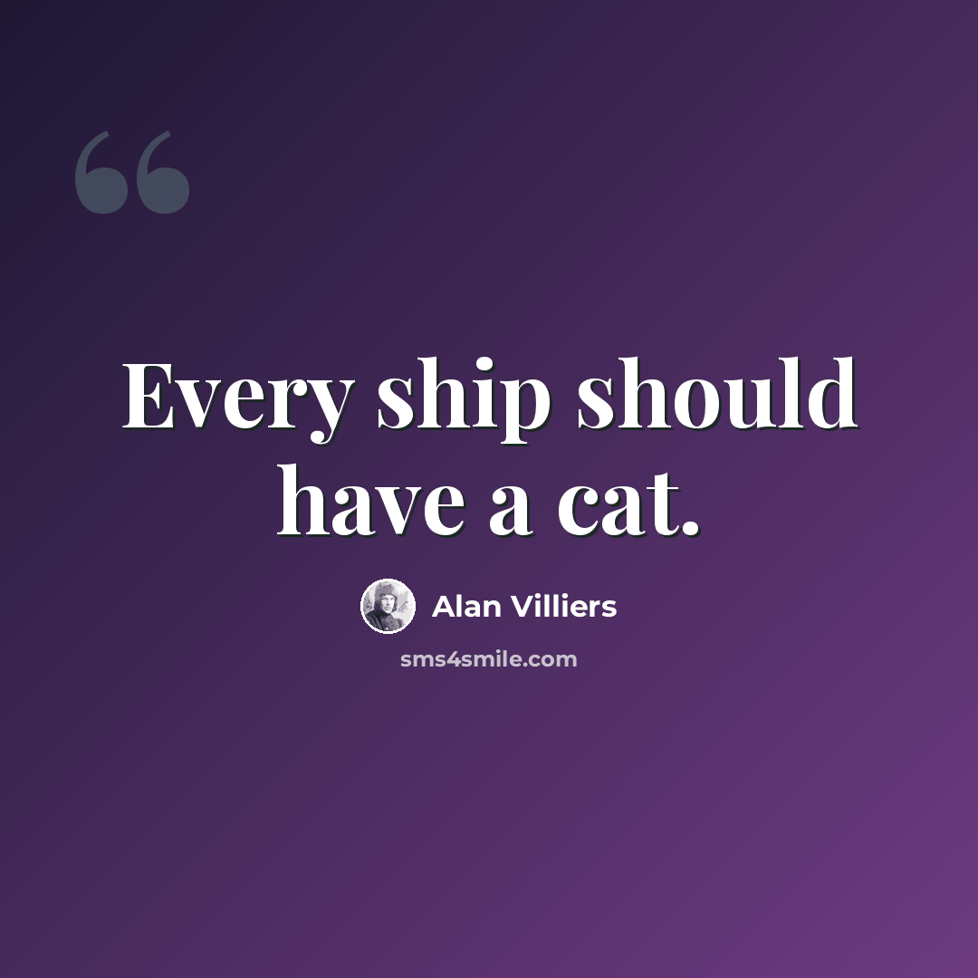 “Every ship should have a cat.” quote by Alan Villiers