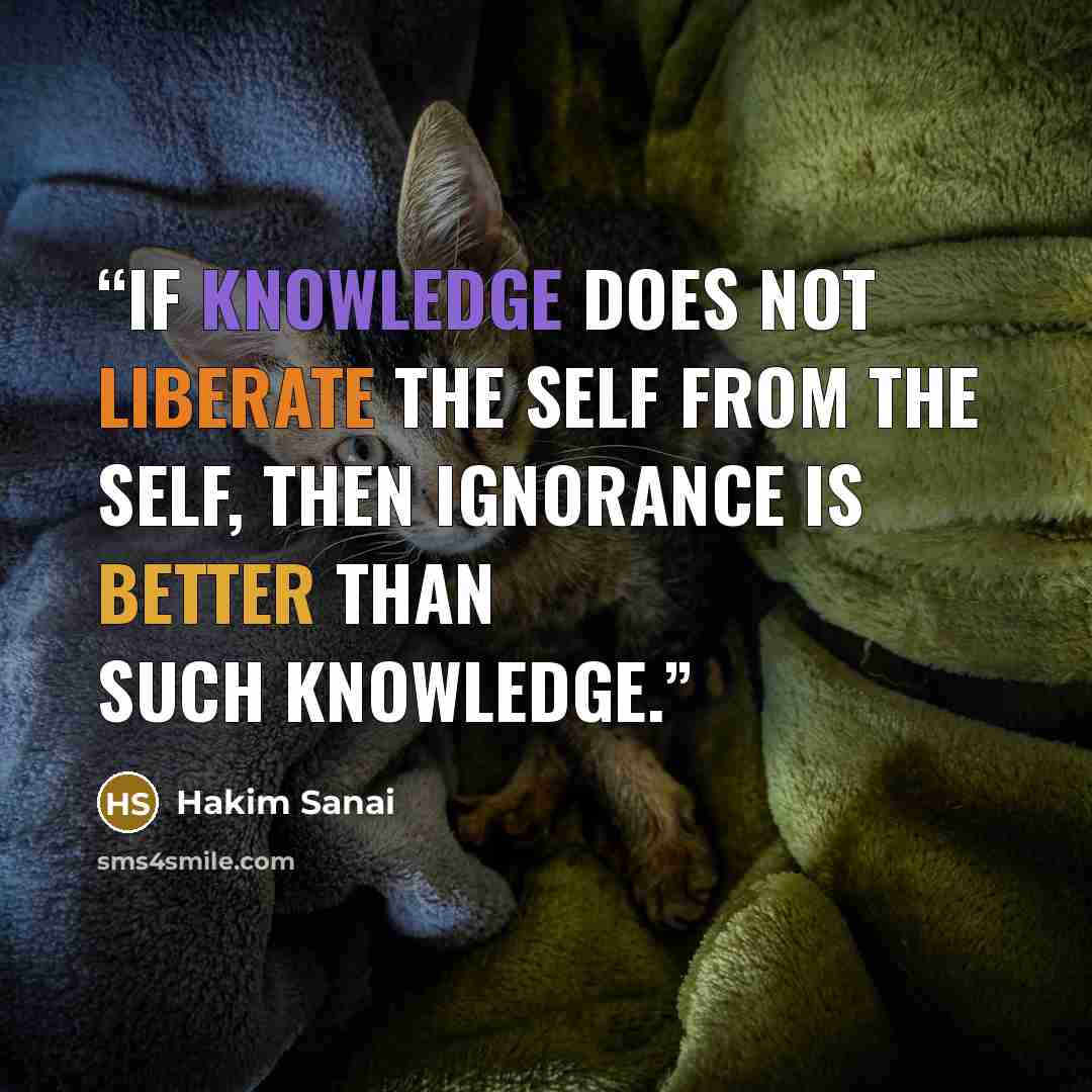 “If knowledge does not liberate the self from the self, then ignorance is better than such knowledge.” quote by Hakim Sanai