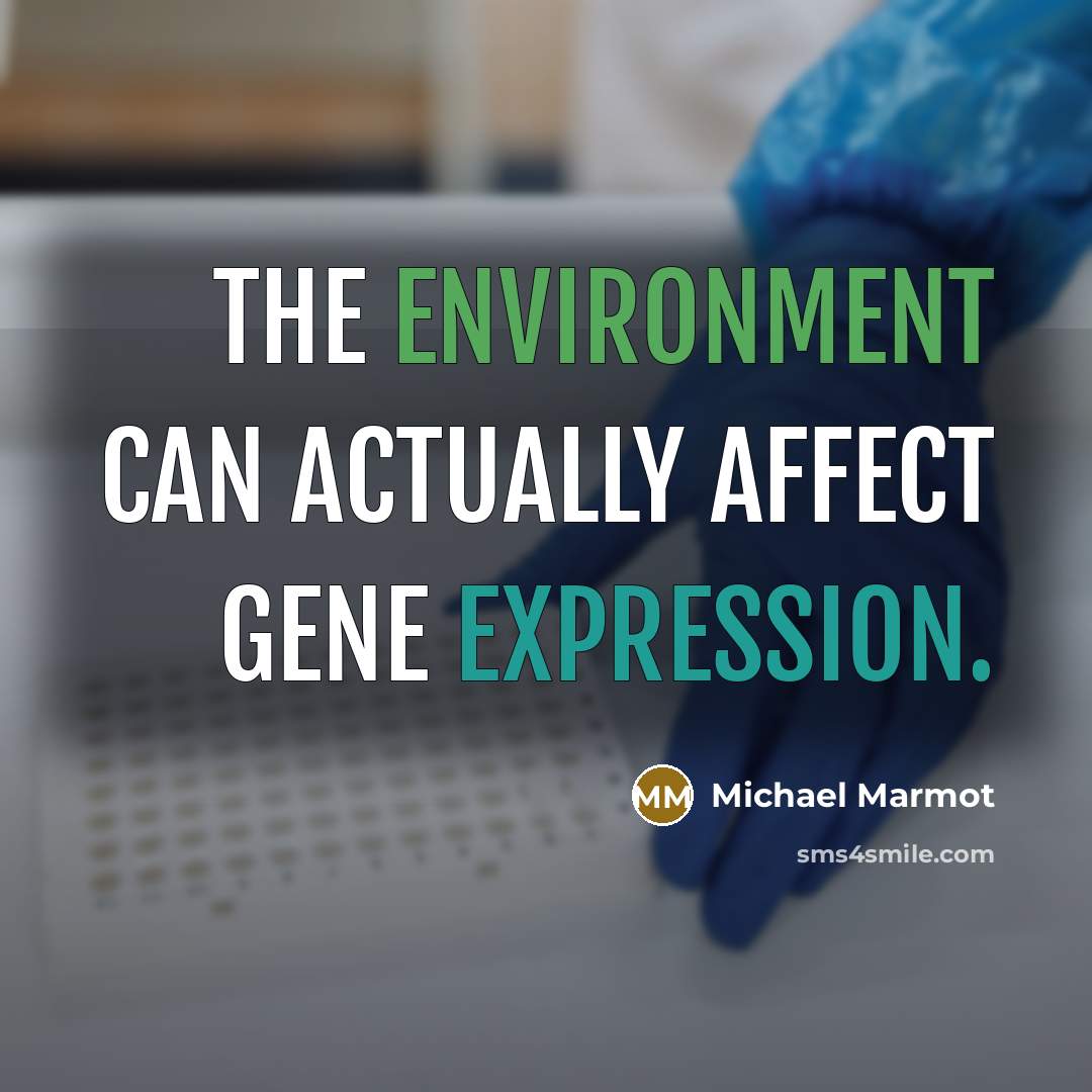 “The environment can actually affect gene expression.” quote by Michael Marmot