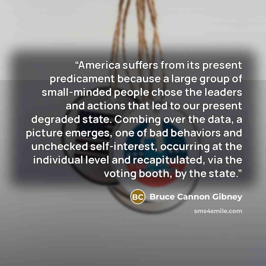 “America suffers from its present predicament because a large group of small-minded people chose the leaders and actions that led to our present degraded state. Combing over the data, a picture emerges, one of bad behaviors and unchecked self-interest, occurring at the individual level and…” quote by Bruce Cannon Gibney