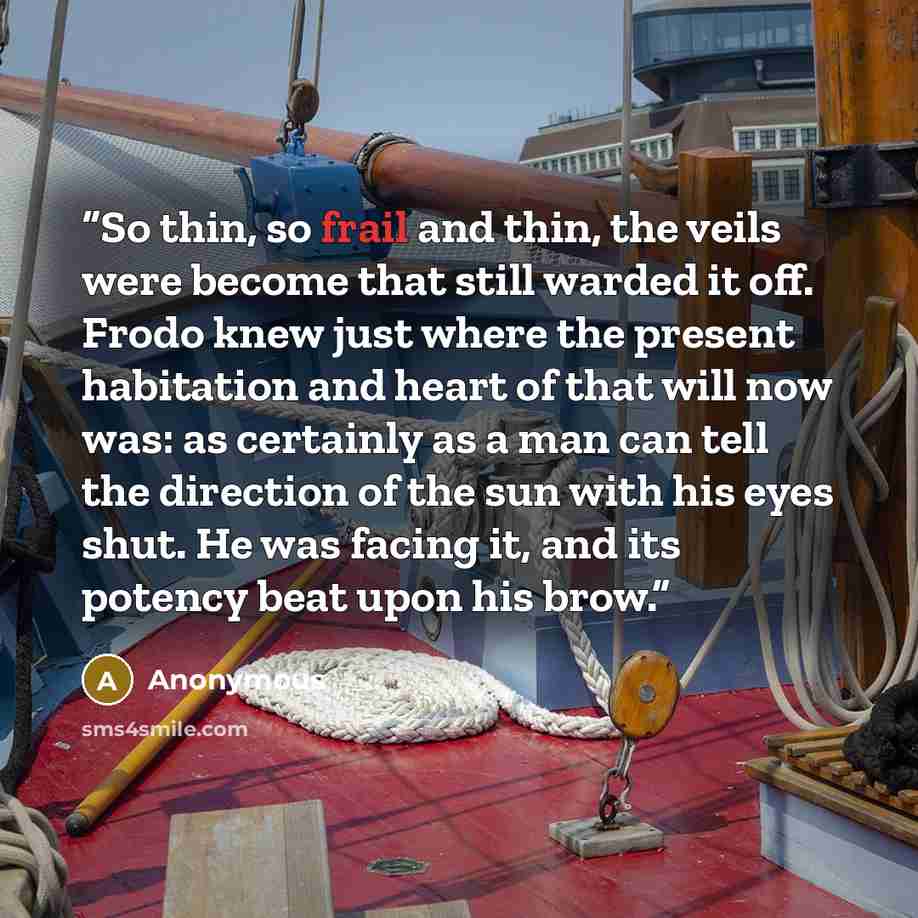 “So thin, so frail and thin, the veils were become that still warded it off. Frodo knew just where the present habitation and heart of that will now was: as certainly as a man can tell the direction of the sun with his eyes shut. He was facing it, and its potency beat upon his brow.” quote by Anonymous