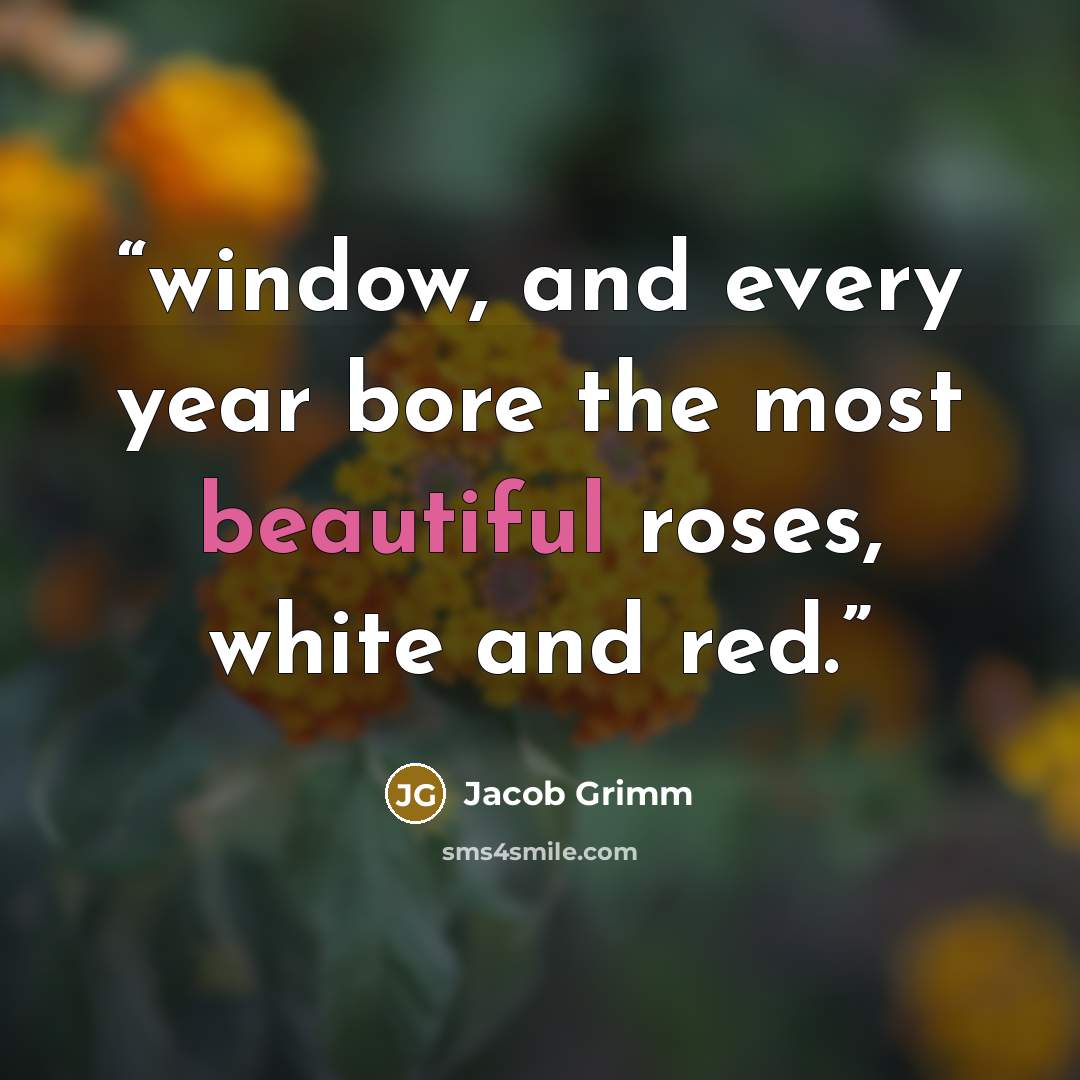 “window, and every year bore the most beautiful roses, white and red.” quote by Jacob Grimm