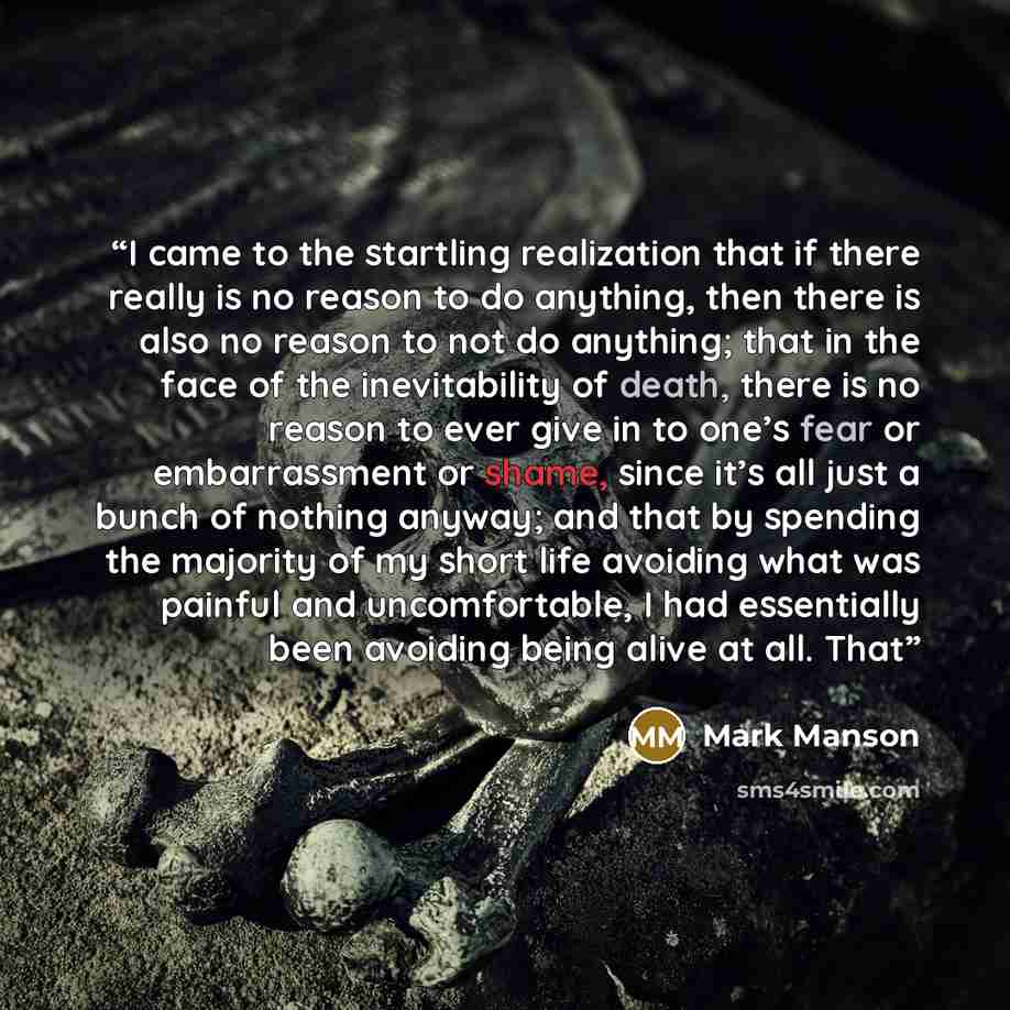 “I came to the startling realization that if there really is no reason to do anything, then there is also no reason to not do anything; that in the face of the inevitability of death, there is no reason to ever give in to one’s fear or embarrassment or shame, since it’s all just a bunch of nothing…” quote by Mark Manson