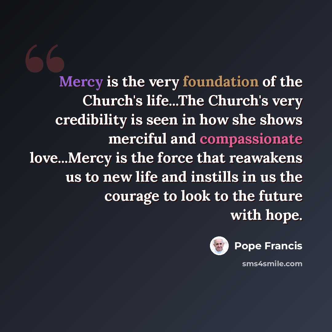 “Mercy is the very foundation of the Church's life...The Church's very credibility is seen in how she shows merciful and compassionate love...Mercy is the force that reawakens us to new life and instills in us the courage to look to the future with hope.” quote by Pope Francis