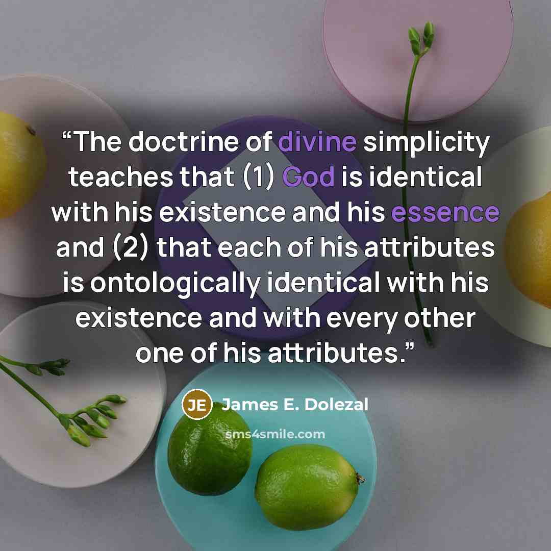 “The doctrine of divine simplicity teaches that (1) God is identical with his existence and his essence and (2) that each of his attributes is ontologically identical with his existence and with every other one of his attributes.” quote by James E. Dolezal