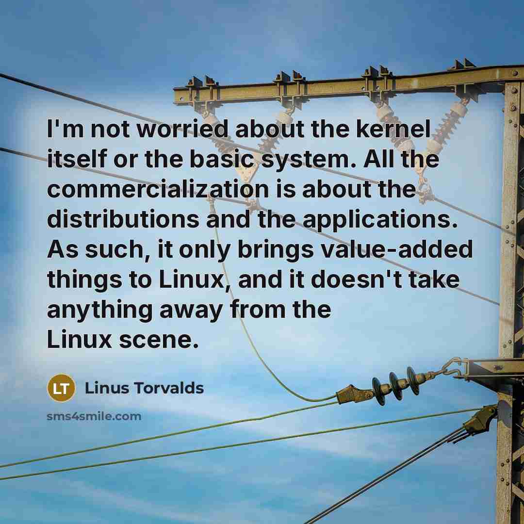 “I'm not worried about the kernel itself or the basic system. All the commercialization is about the distributions and the applications. As such, it only brings value-added things to Linux, and it doesn't take anything away from the Linux scene.” quote by Linus Torvalds