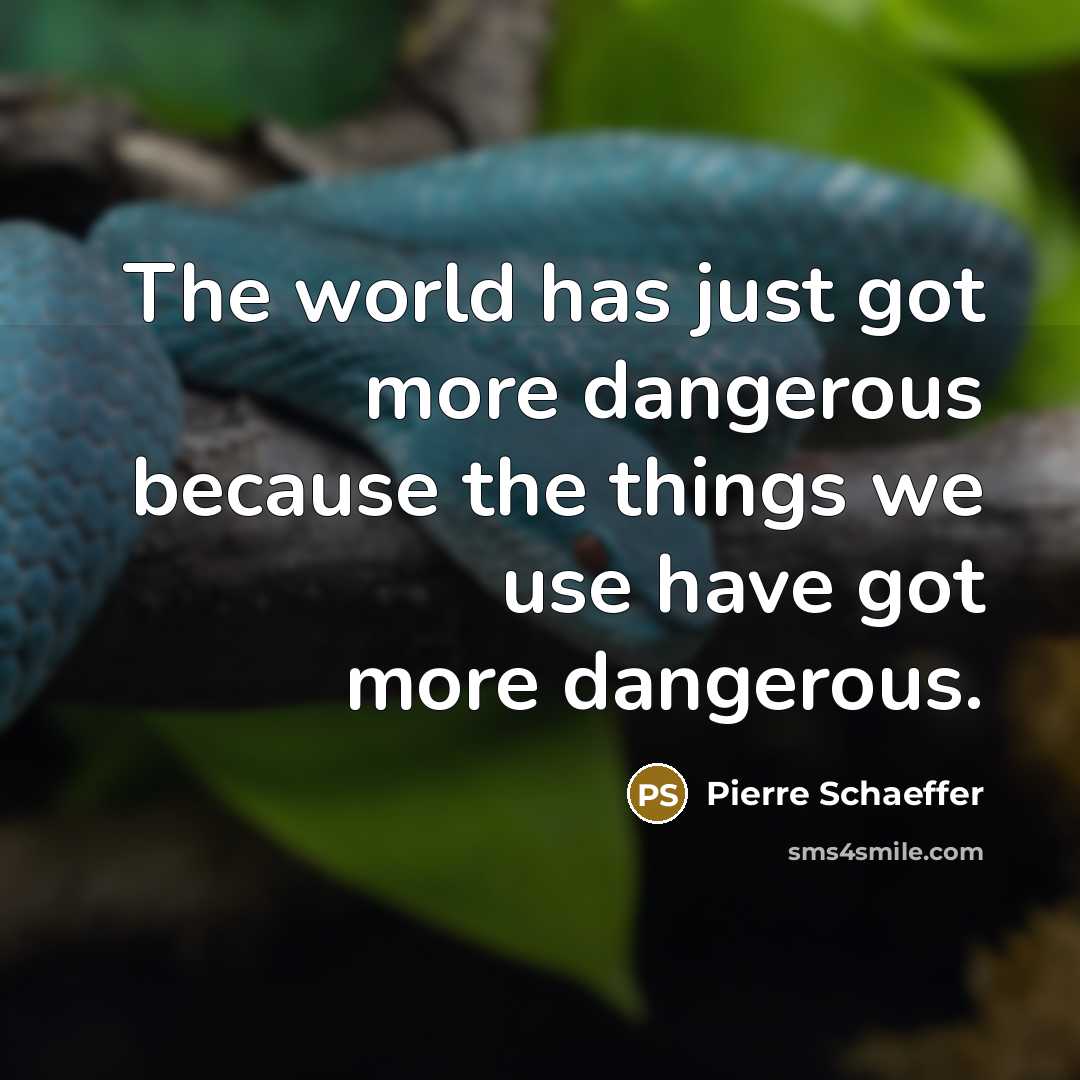 “The world has just got more dangerous because the things we use have got more dangerous.” quote by Pierre Schaeffer