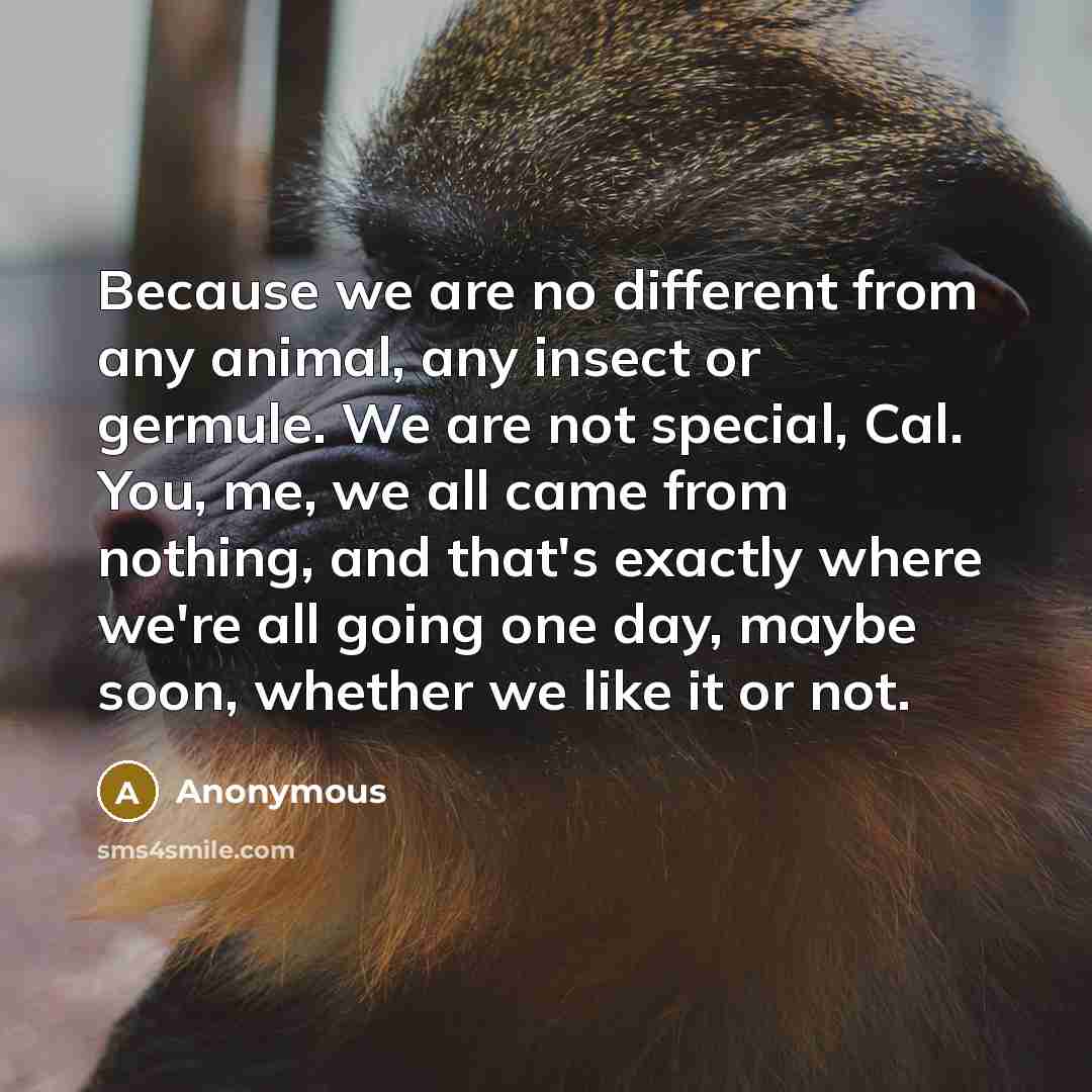 “Because we are no different from any animal, any insect or germule. We are not special, Cal. You, me, we all came from nothing, and that's exactly where we're all going one day, maybe soon, whether we like it or not.” quote by Anonymous