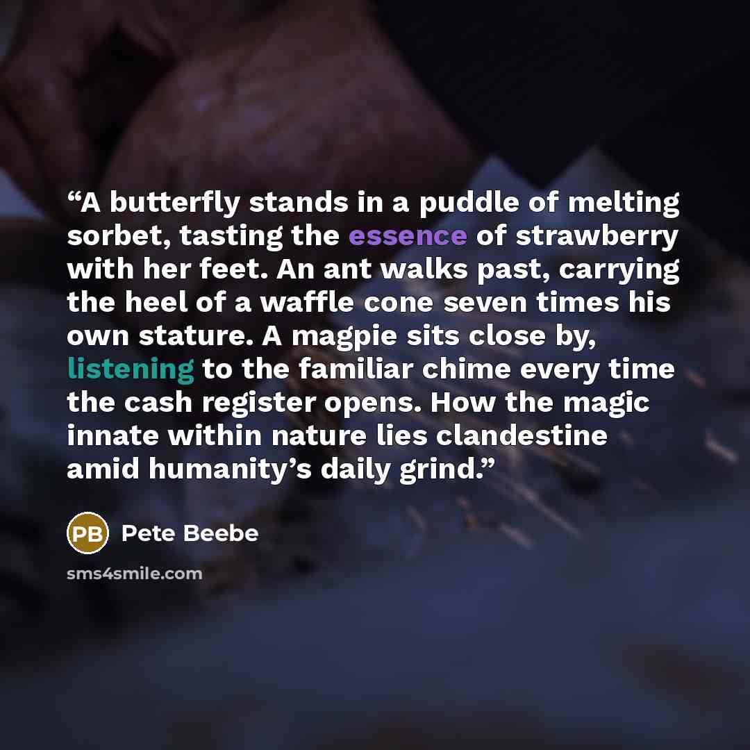 “A butterfly stands in a puddle of melting sorbet, tasting the essence of strawberry with her feet. An ant walks past, carrying the heel of a waffle cone seven times his own stature. A magpie sits close by, listening to the familiar chime every time the cash register opens. How the magic innate…” quote by Pete Beebe