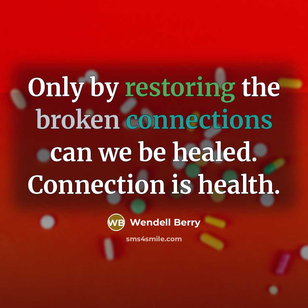 “Only by restoring the broken connections can we be healed. Connection is health.” quote by Wendell Berry