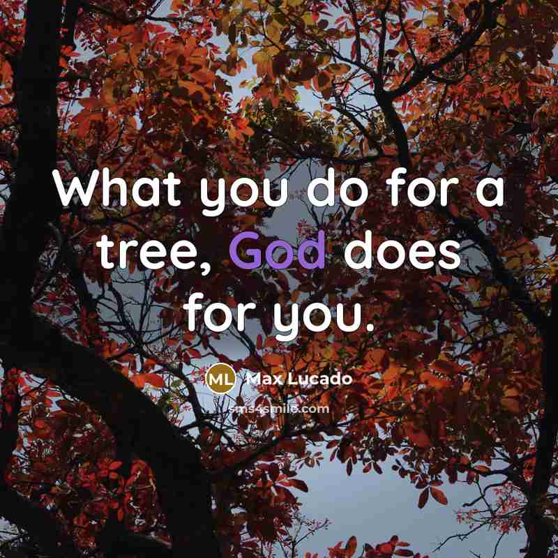 “What you do for a tree, God does for you.” quote by Max Lucado