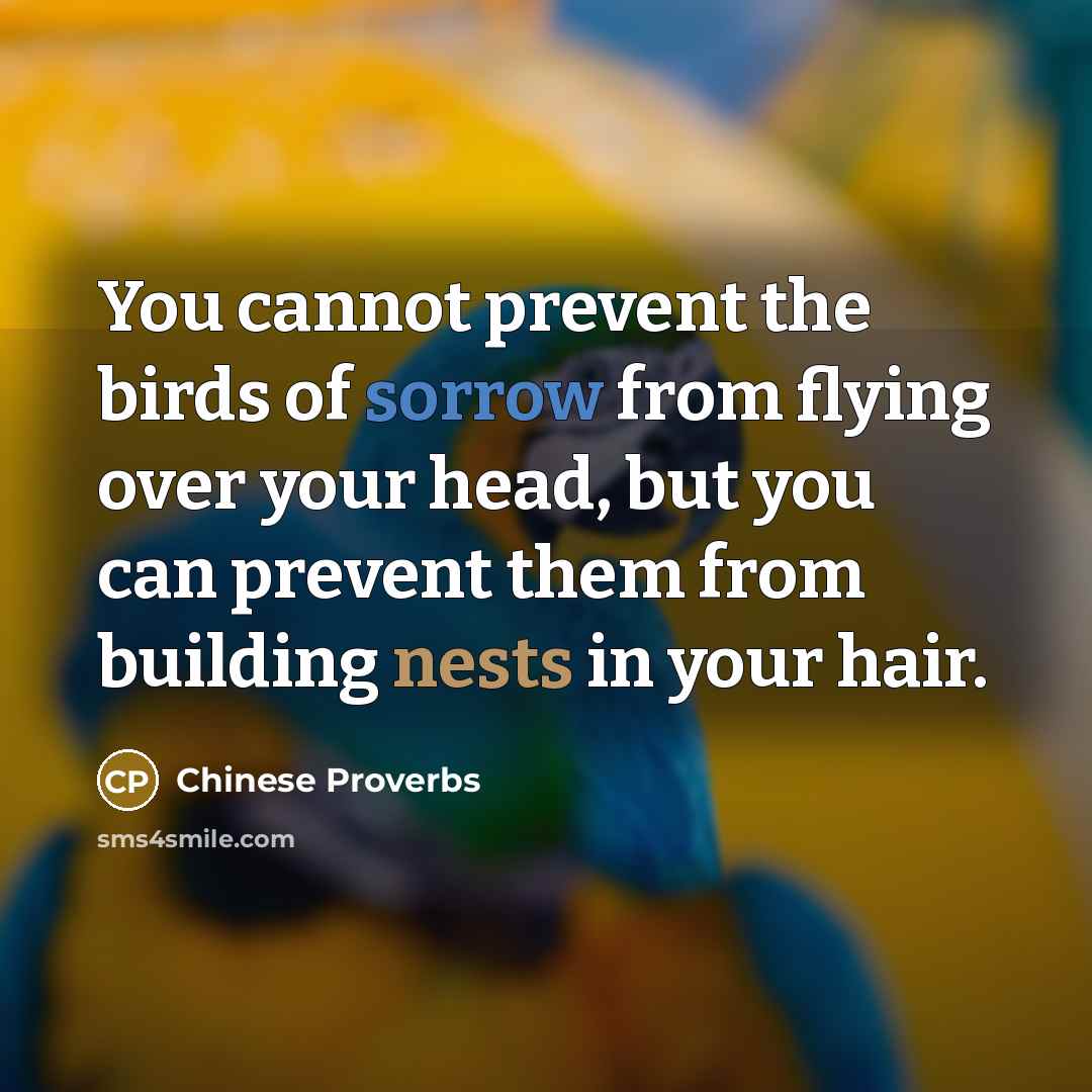 “You cannot prevent the birds of sorrow from flying over your head, but you can prevent them from building nests in your hair.” quote by Chinese Proverbs