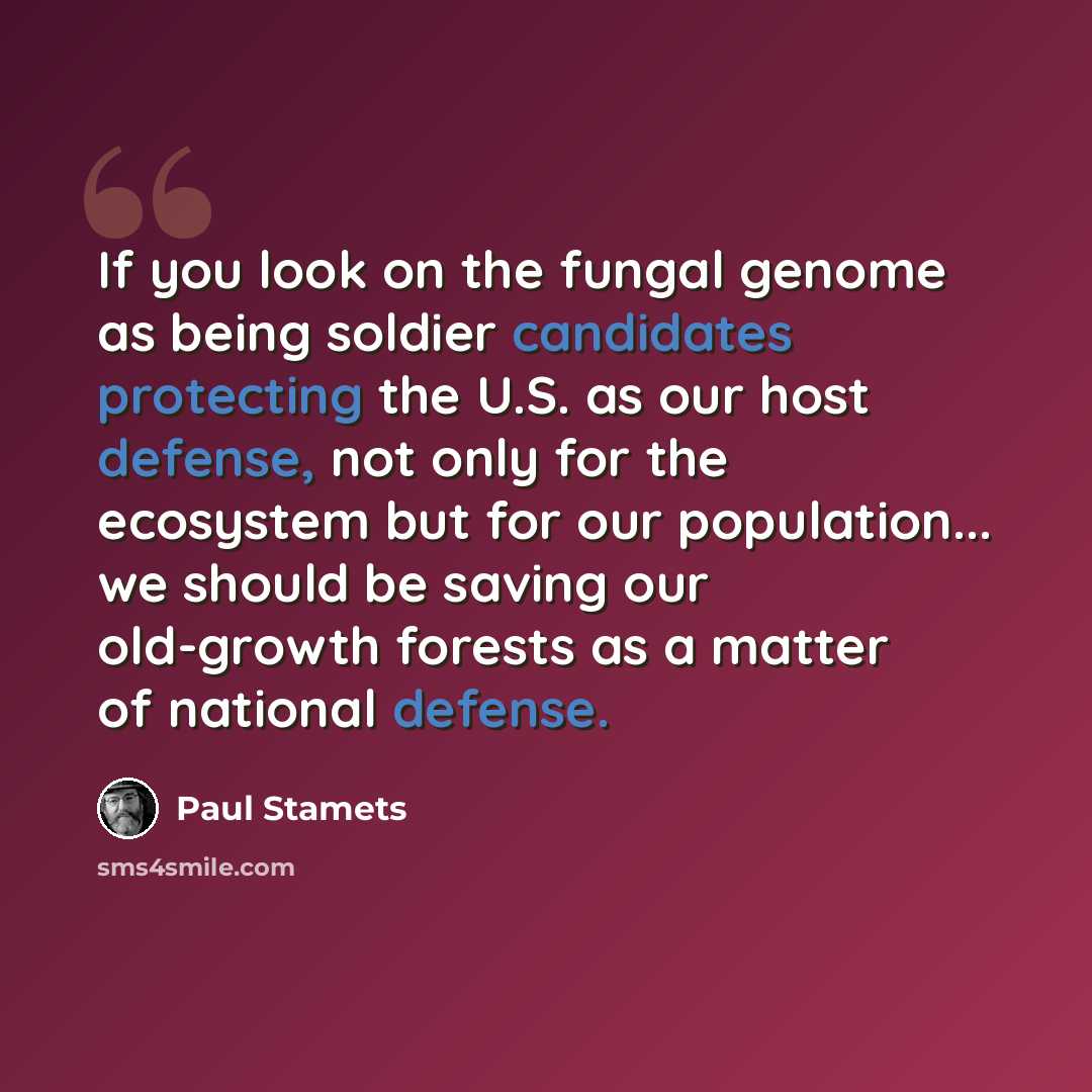 “If you look on the fungal genome as being soldier candidates protecting the U.S. as our host defense, not only for the ecosystem but for our population... we should be saving our old-growth forests as a matter of national defense.” quote by Paul Stamets