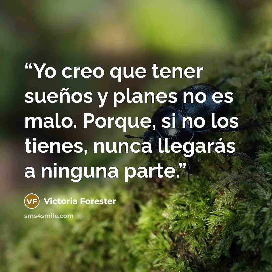 “Yo creo que tener sueños y planes no es malo. Porque, si no los tienes, nunca llegarás a ninguna parte.” quote by Victoria Forester