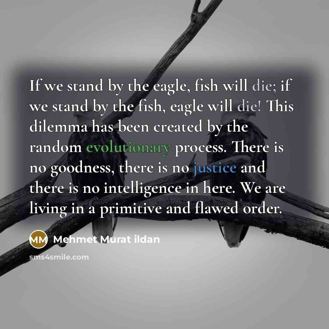 “If we stand by the eagle, fish will die; if we stand by the fish, eagle will die! This dilemma has been created by the random evolutionary process. There is no goodness, there is no justice and there is no intelligence in here. We are living in a primitive and flawed order.” quote by Mehmet Murat Ildan
