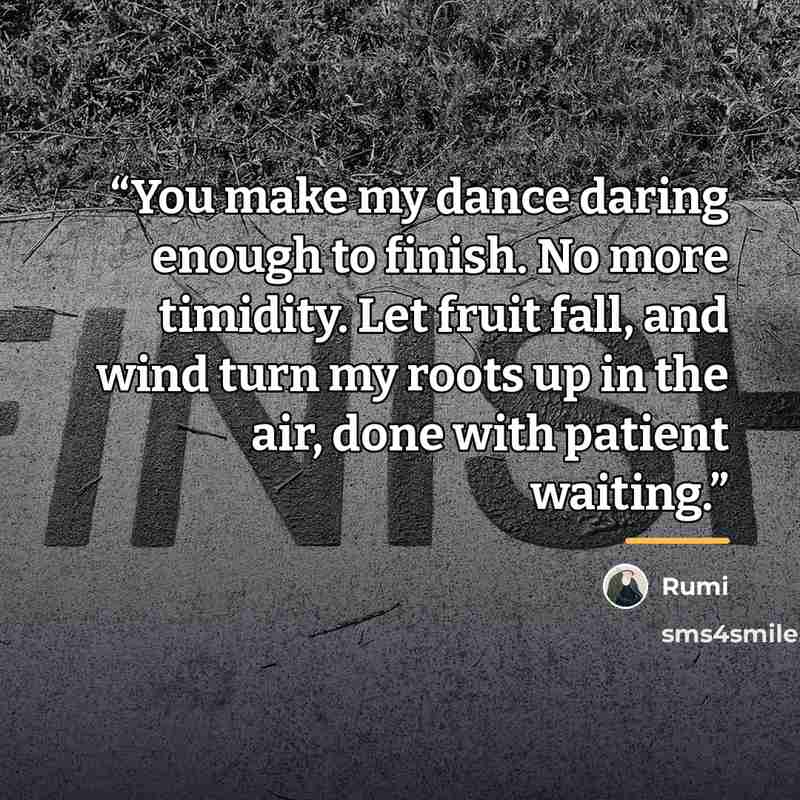 “You make my dance daring enough to finish. No more timidity. Let fruit fall, and wind turn my roots up in the air, done with patient waiting.” quote by Rumi