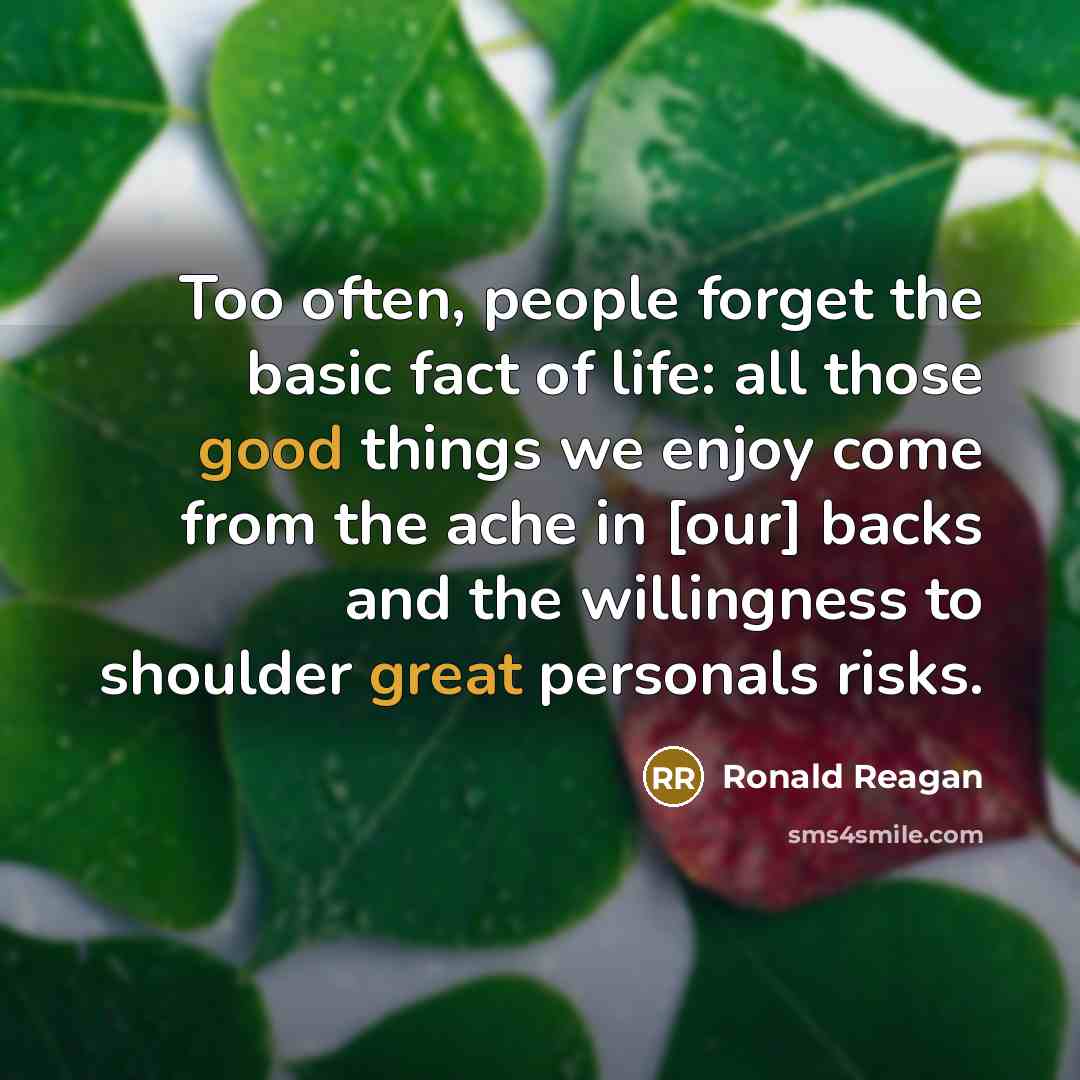 “Too often, people forget the basic fact of life: all those good things we enjoy come from the ache in [our] backs and the willingness to shoulder great personals risks.” quote by Ronald Reagan