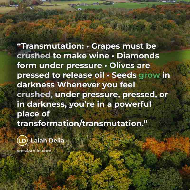 “Transmutation: • Grapes must be crushed to make wine • Diamonds form under pressure • Olives are pressed to release oil • Seeds grow in darkness Whenever you feel crushed, under pressure, pressed, or in darkness, you’re in a powerful place of transformation/transmutation.” quote by Lalah Delia